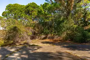 3019 Ion Ave, Sullivans Island, SC 29482 - Photo 9