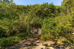 3019 Ion Ave, Sullivans Island, SC 29482 - Photo 3