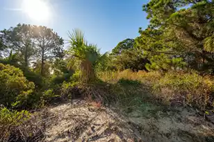 3019 Ion Ave, Sullivans Island, SC 29482 - Photo 55