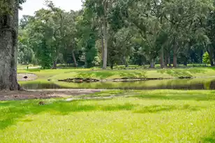 2205 Des Arc Rd, Johns Island, SC 29455 - Photo 85