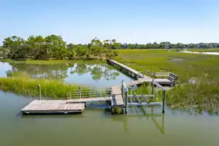 24 Seagrass Ln, Isle Of Palms, SC 29451 - Photo 63