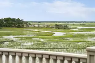 24 Seagrass Ln, Isle Of Palms, SC 29451 - Photo 15