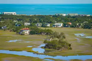 24 Seagrass Ln, Isle Of Palms, SC 29451 - Photo 73