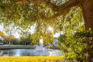 1500 Yellow Hawthorn Cir, Summerville, SC 29483 - Photo 61