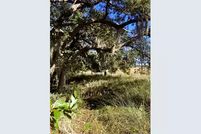 481 Paige Point, Seabrook, SC 29940 - Photo 7