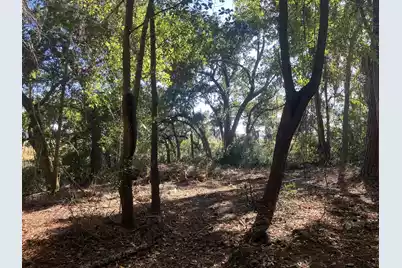 481 Paige Point, Seabrook, SC 29940 - Photo 5