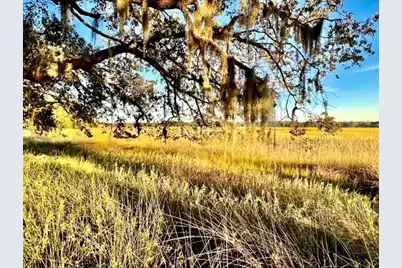 481 Paige Point, Seabrook, SC 29940 - Photo 1