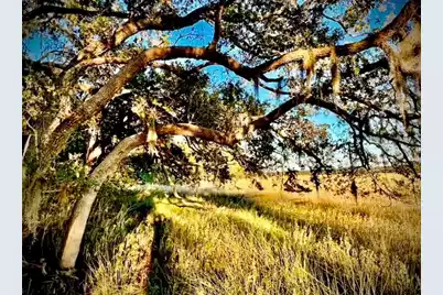 481 Paige Point, Seabrook, SC 29940 - Photo 9