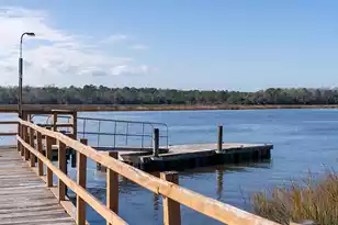 4509 Great Oak Dr, North Charleston, SC 29418 - Photo 49