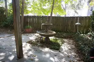 4509 Great Oak Dr, North Charleston, SC 29418 - Photo 29