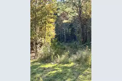 00 Saint Julian Drive, Cross, SC 29436 - Photo 7