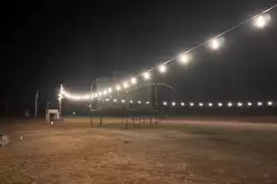 785 Lone Star Rd, Cameron, SC 29030 - Photo 17