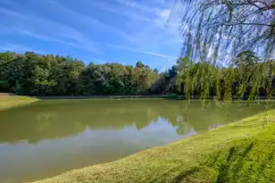 161 Carolinian Dr, Summerville, SC 29485 - Photo 13