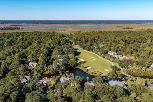 141 Hooded Merganser Ct, Kiawah Island, SC 29455 - Photo 81
