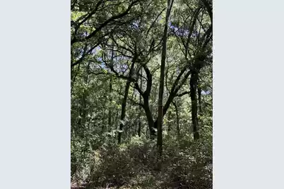 3934 Gnarled Oaks Lane, Johns Island, SC 29455 - Photo 29