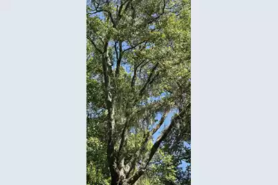 3934 Gnarled Oaks Lane, Johns Island, SC 29455 - Photo 27