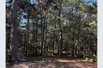 3934 Gnarled Oaks Lane, Johns Island, SC 29455 - Photo 9