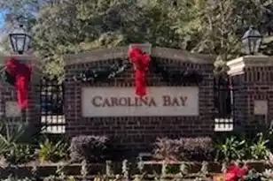 1712 Grovehurst Dr, Charleston, SC 29414 - Photo 53