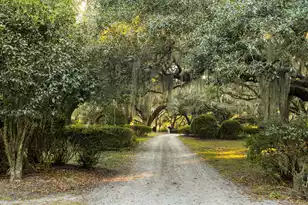 1305 River Rd, Yemassee, SC 29945 - Photo 79