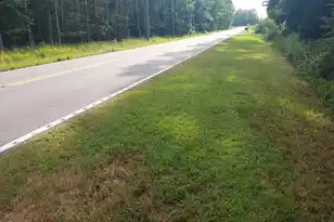 534 Weatherford Rd, Orangeburg, SC 29115 - Photo 9