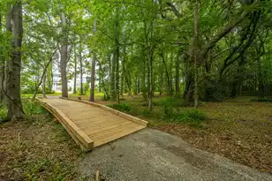 7402 Bowen Corner Ave, Hanahan, SC 29410 - Photo 35