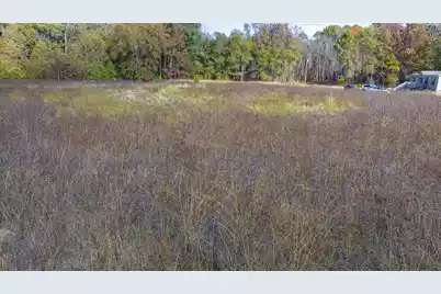0 Shady Grove Road, Saint George, SC 29477 - Photo 11