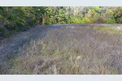 0 Shady Grove Road, Saint George, SC 29477 - Photo 13