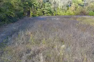 0 Shady Grove Rd, Saint George, SC 29477 - Photo 13