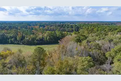 0 Shady Grove Road, Saint George, SC 29477 - Photo 21