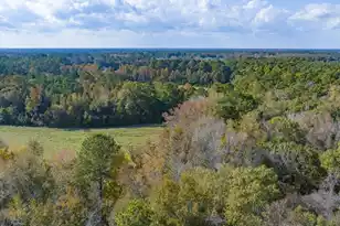 0 Shady Grove Rd, Saint George, SC 29477 - Photo 21