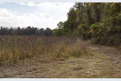 0 Shady Grove Road, Saint George, SC 29477 - Photo 7