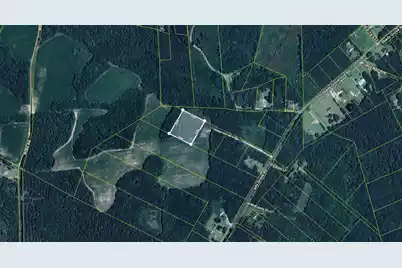 0 Shady Grove Road, Saint George, SC 29477 - Photo 3