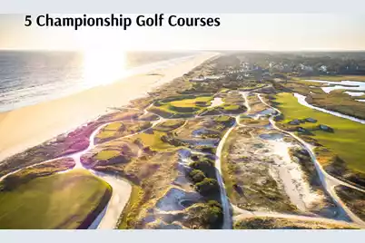 5004 Green Dolphin Way #Share A, Kiawah Island, SC 29455 - Photo 45