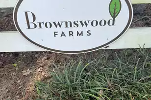 1501 Thoroughbred Blvd, Johns Island, SC 29455 - Photo 57