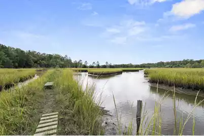 3169 Conservancy Lane, Charleston, SC 29414 - Photo 45