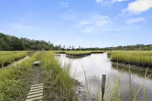 3169 Conservancy Ln, Charleston, SC 29414 - Photo 45