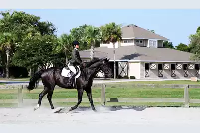 2340 Marsh Hen Drive, Seabrook Island, SC 29455 - Photo 121