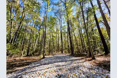 3047 Fickling Hill Road #C-1, Johns Island, SC 29455 - Photo 5