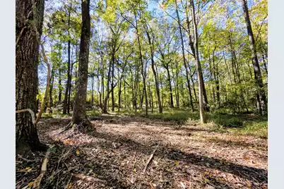 3047 Fickling Hill Road #C-1, Johns Island, SC 29455 - Photo 9
