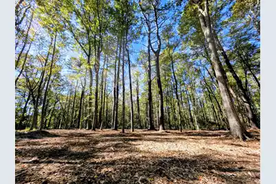 3047 Fickling Hill Road #C-2, Johns Island, SC 29455 - Photo 5