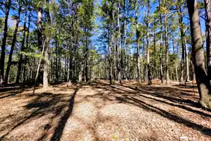 3047 Fickling Hill Rd, Johns Island, SC 29455 - Photo 1