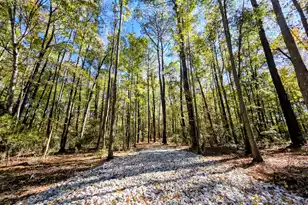 3047 Fickling Hill Rd, Johns Island, SC 29455 - Photo 1