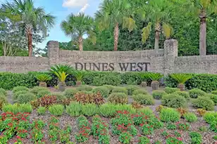 1849 Shell Ring Cir, Mount Pleasant, SC 29466 - Photo 59