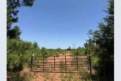 0 Halsellville Rd Road, Chester, SC 29706 - Photo 13