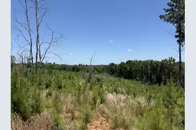 0 Halsellville Rd Road, Chester, SC 29706 - Photo 9