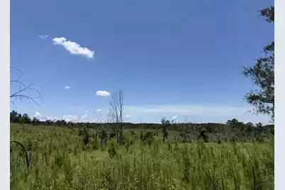 0 Halsellville Rd Road, Chester, SC 29706 - Photo 11