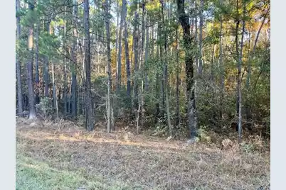 00 Second Texas Road, Saint George, SC 29477 - Photo 3