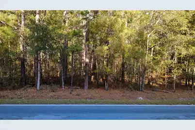00 Second Texas Road, Saint George, SC 29477 - Photo 5