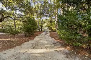 1086 St Julien Dr, Eutawville, SC 29048 - Photo 61