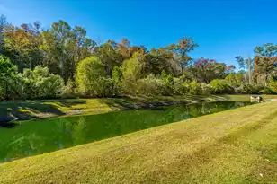 1465 Brockenfelt Dr, Charleston, SC 29414 - Photo 61